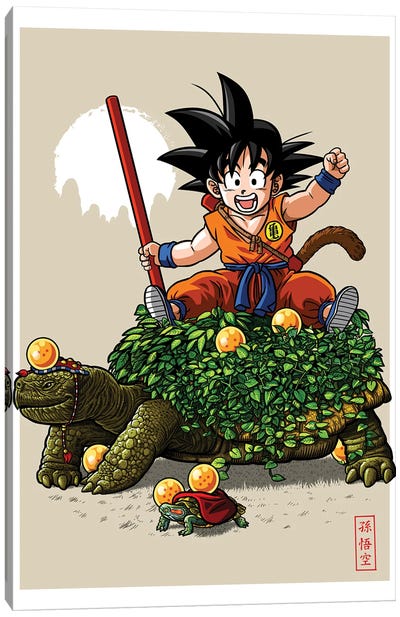 Turtle Ball Canvas Art Print - Goku