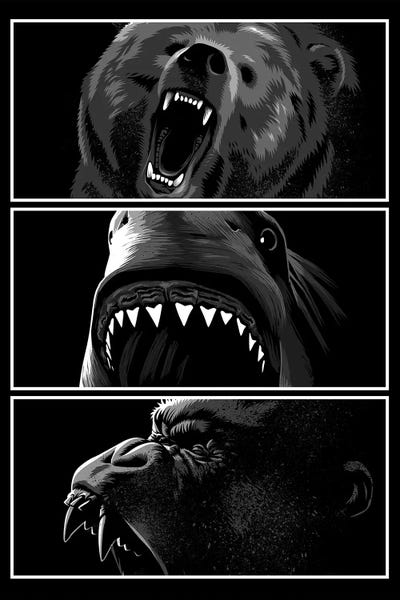 Primates: Predators Animals by Alberto Perez