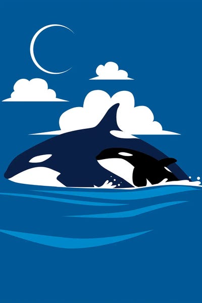 Orcas: Killer Whale Family by Alberto Perez