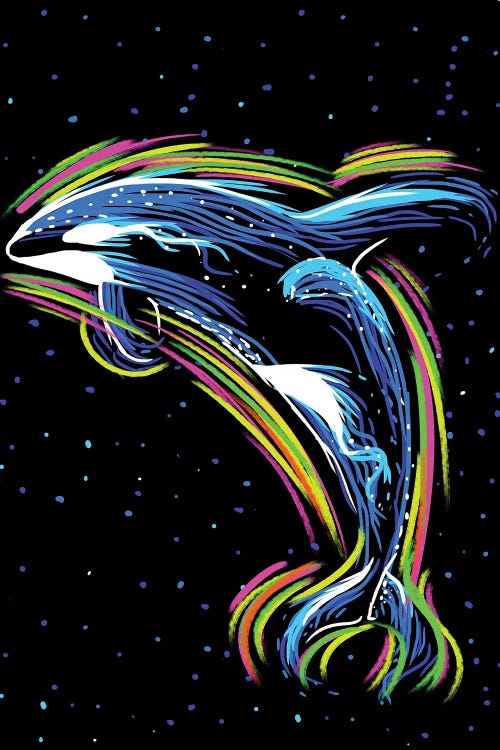 Orca Lineas De Neon by Alberto Perez wall art