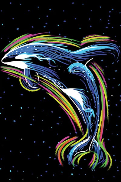 Orcas: Orca Lineas De Neon by Alberto Perez