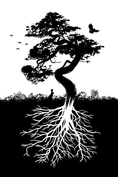 Nature Tree With Roots by Alberto Perez canvas print