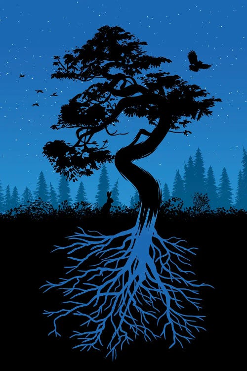 Nature Tree With Roots Night