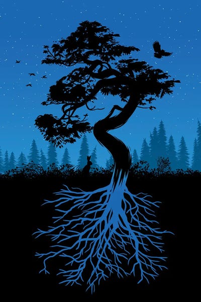 Alberto Perez: Nature Tree With Roots Night by Alberto Perez