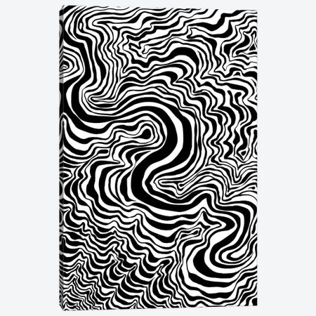 Surreal Flowing Lines Canvas Print #APZ559} by Alberto Perez Canvas Print