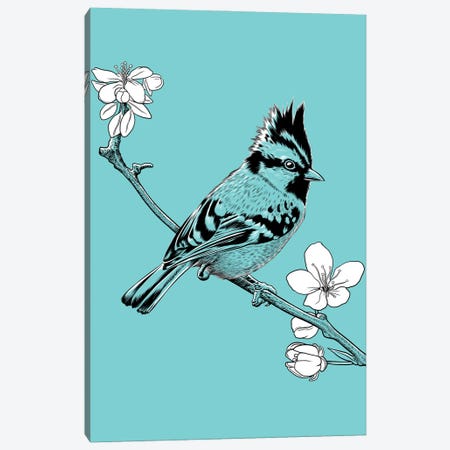 Crested Sparrow On A Branch In Japan Canvas Print #APZ567} by Alberto Perez Canvas Art Print