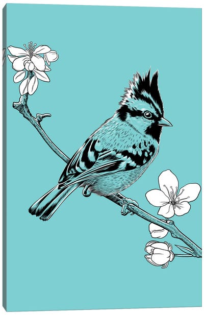Crested Sparrow On A Branch In Japan Canvas Art Print - Sparrow Art