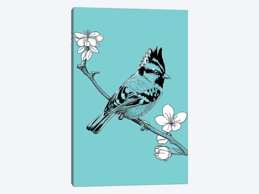 Crested Sparrow On A Branch In Japan by Alberto Perez 1-piece Canvas Wall Art