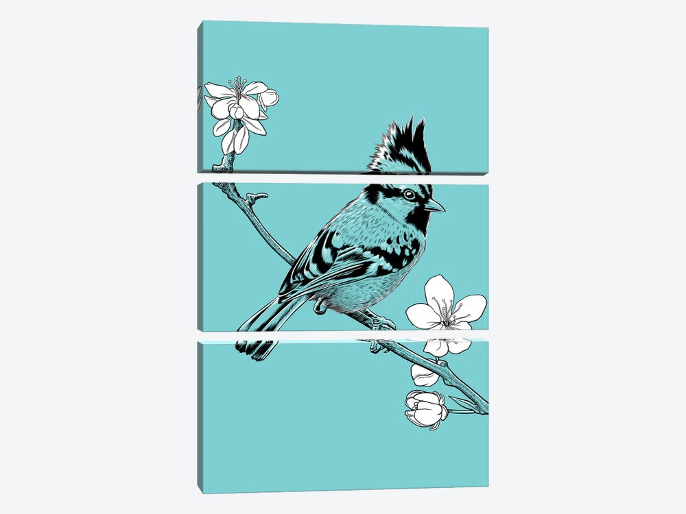 Crested Sparrow On A Branch In Japan by Alberto Perez 3-piece Canvas Artwork