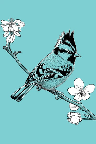 Sparrows: Crested Sparrow On A Branch In Japan by Alberto Perez