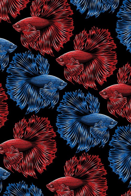 Pattern Bettas