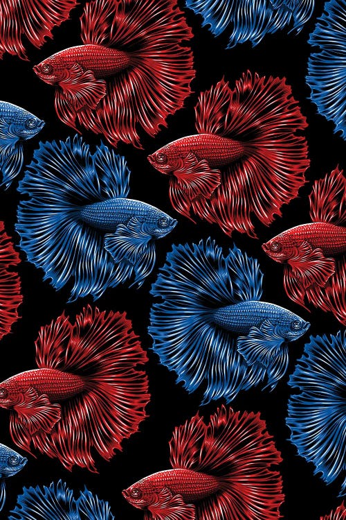 Pattern Bettas