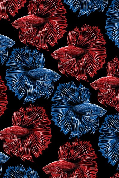 Alberto Perez: Pattern Bettas by Alberto Perez
