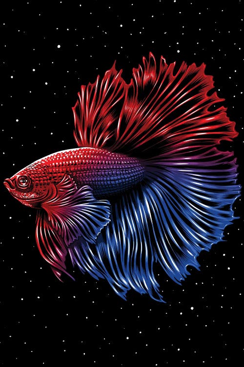 Galactic Betta