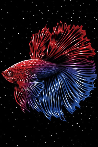 Betta: Galactic Betta by Alberto Perez