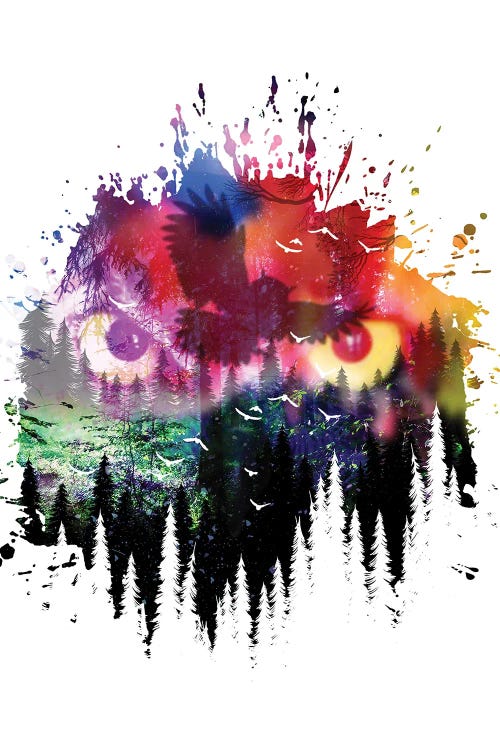 Owl's Eyes by Alberto Perez wall art