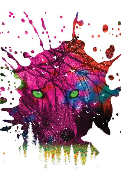 Alberto Perez: Colorful Splash Fox by Alberto Perez
