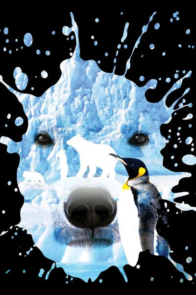 Alberto Perez: Polar Bear With Penguin by Alberto Perez