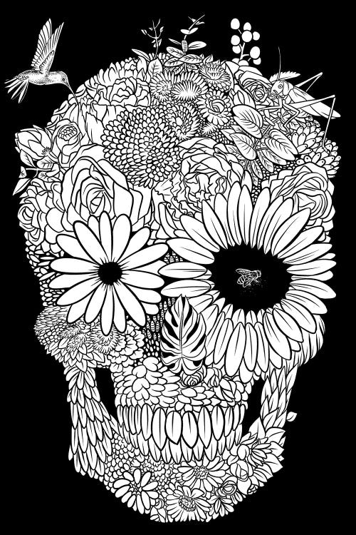 White Flower Skull by Alberto Perez wall art