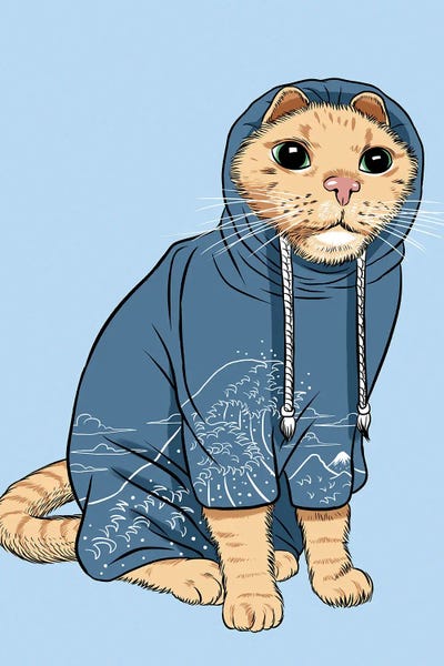 Alberto Perez: Cat With Tracksuit by Alberto Perez