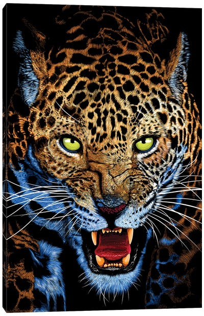 Aggressive Leopard Face Canvas Art Print - Alberto Perez