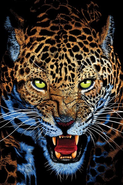 Leopards: Aggressive Leopard Face by Alberto Perez