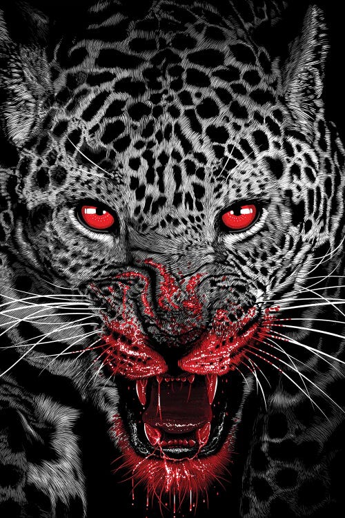 Predatory Leopard Full Of Blood