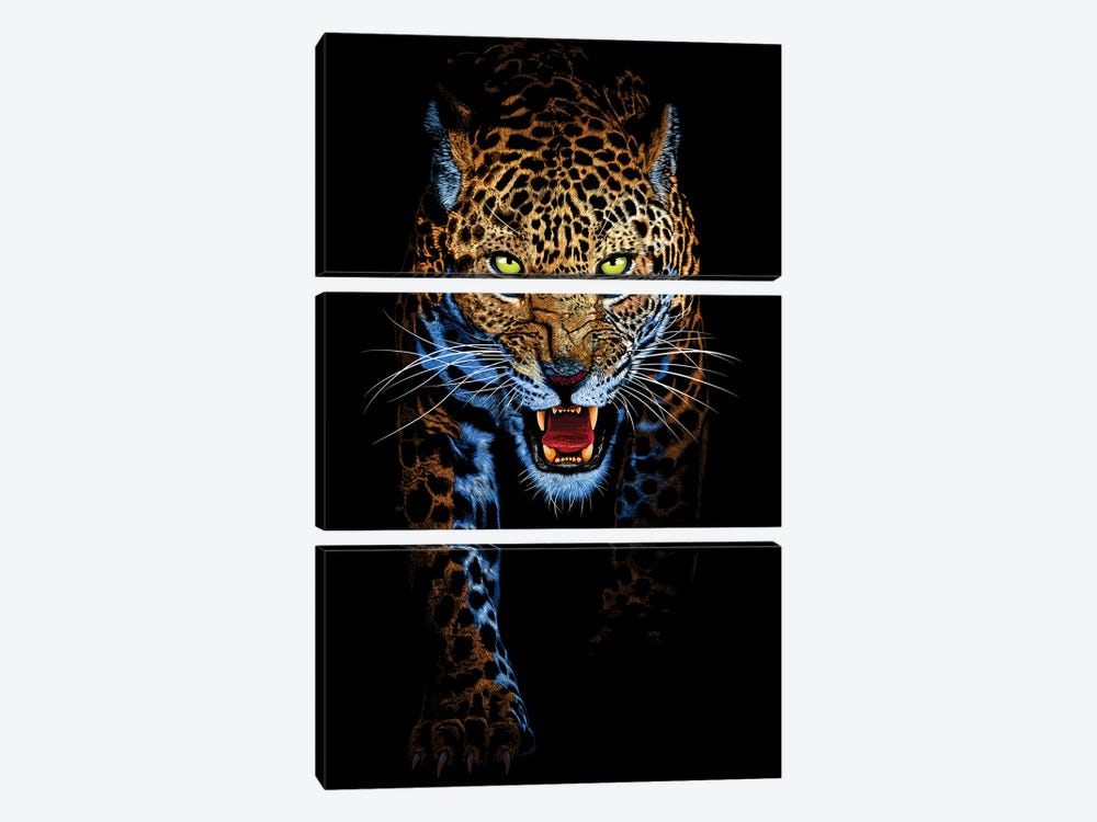 Leopard Stalking by Alberto Perez 3-piece Canvas Print