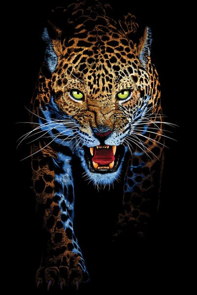 Leopards: Leopard Stalking by Alberto Perez