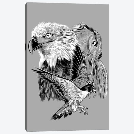 Eagle Hawk And Owl Canvas Print #APZ623} by Alberto Perez Canvas Print