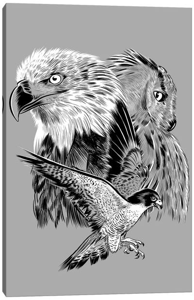Eagle Hawk And Owl Canvas Art Print - Buzzard & Hawk Art