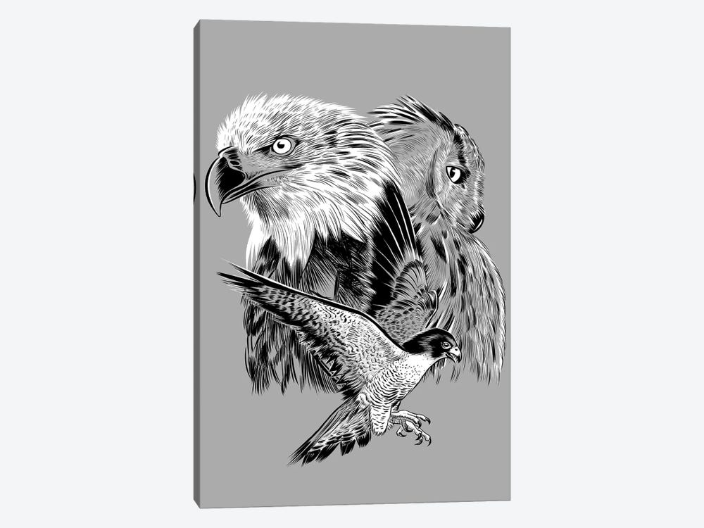 Eagle Hawk And Owl by Alberto Perez 1-piece Canvas Artwork