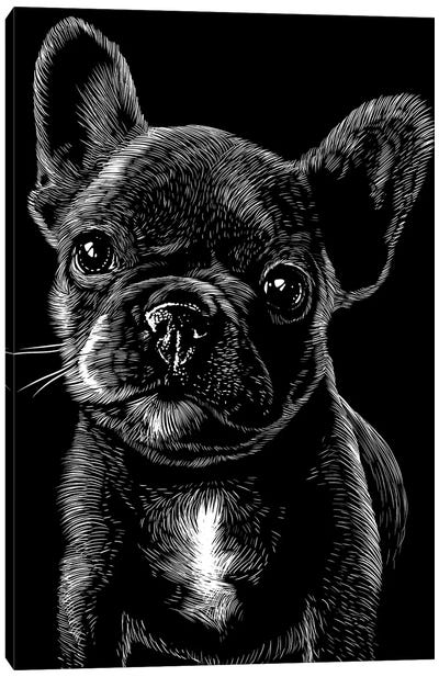 Pug In The Shadows Canvas Art Print - Puppy Art