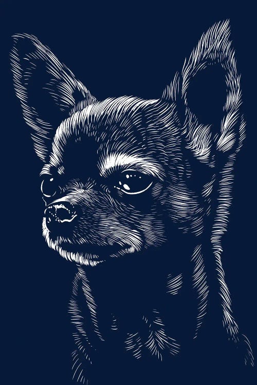 Chihuahua Dog Face by Alberto Perez wall art