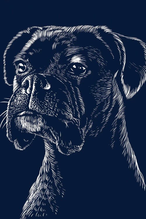 Boxer Dog Pet by Alberto Perez wall art