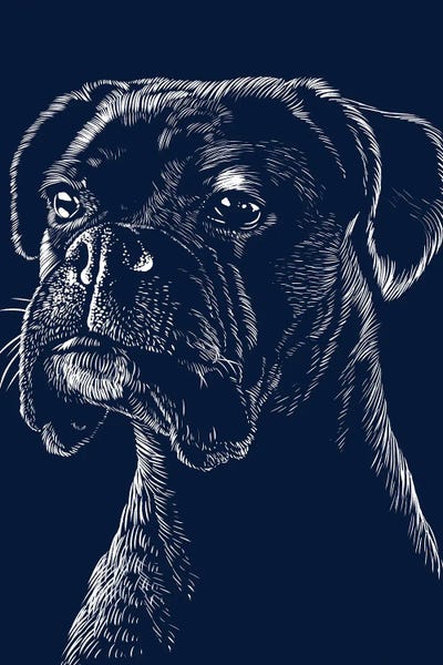 Alberto Perez: Boxer Dog Pet by Alberto Perez