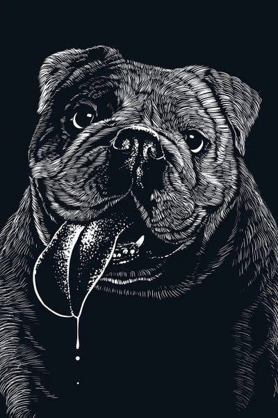 Alberto Perez: Happy Bulldog by Alberto Perez
