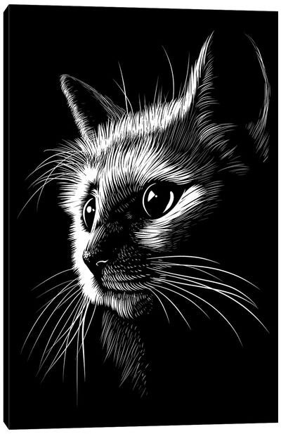 Cat In The Shadows Canvas Art Print - Alberto Perez
