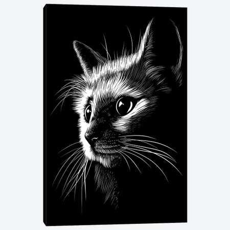 Cat In The Shadows Canvas Print #APZ658} by Alberto Perez Canvas Art