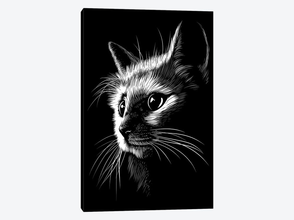 Cat In The Shadows by Alberto Perez 1-piece Canvas Artwork