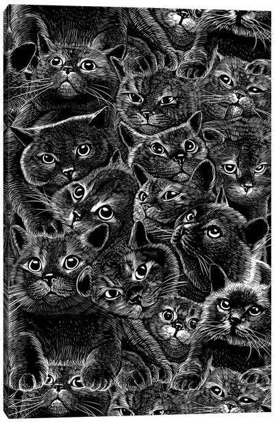 Adorable Cats Canvas Art Print - Alberto Perez