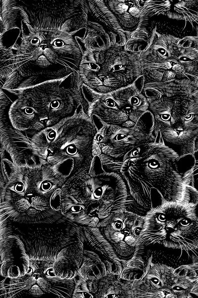 Alberto Perez: Adorable Cats by Alberto Perez