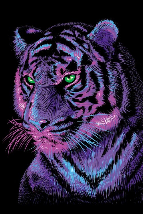 Lilac Tiger