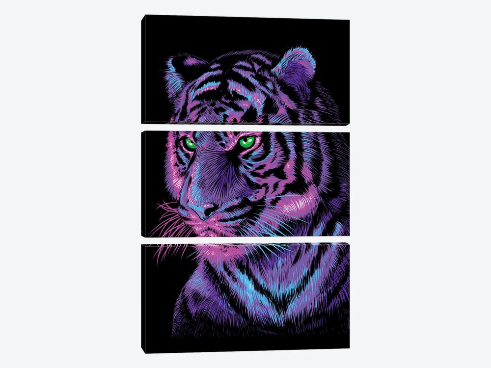 Lilac Tiger by Alberto Perez 3-piece Canvas Print