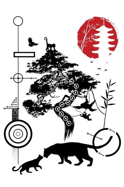 Alberto Perez: Geometric Circles Feline Nature by Alberto Perez