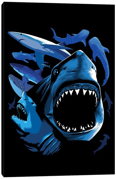 Sharks Canvas Art Print - Great White Shark Art