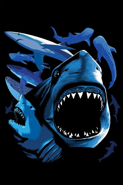 Alberto Perez: Sharks by Alberto Perez
