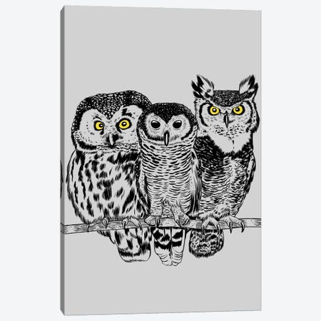 Three Owls Canvas Print #APZ713} by Alberto Perez Canvas Art Print
