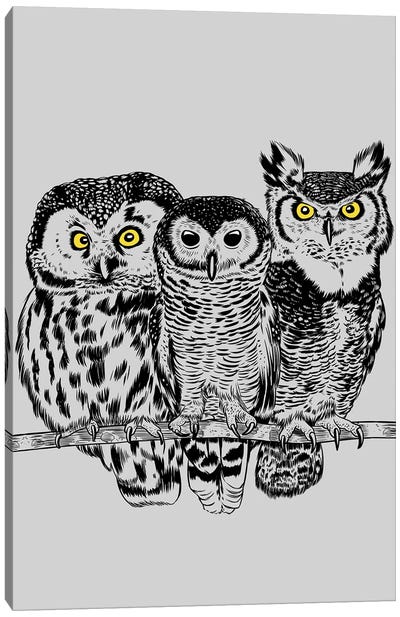 Three Owls Canvas Art Print - Alberto Perez