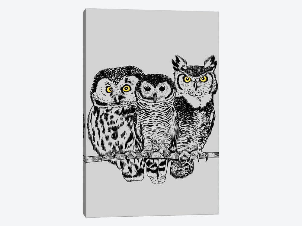 Three Owls by Alberto Perez 1-piece Canvas Wall Art